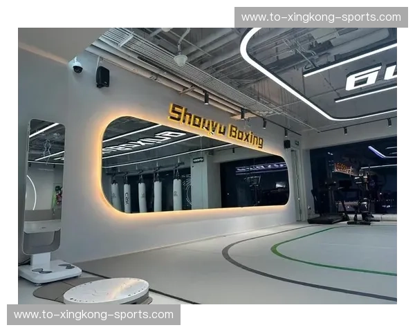 综合格斗录像——将汗水与智慧定格在每一帧